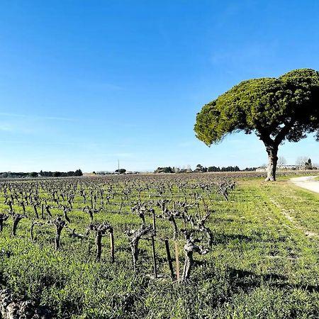 Les Appartements Du Mas - Emeraude Aigues-Mortes Esterno foto